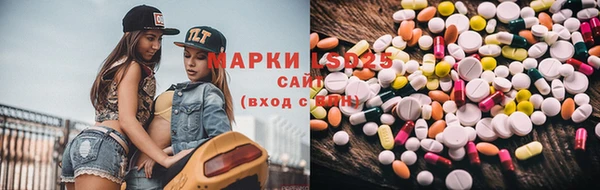 трава Аркадак