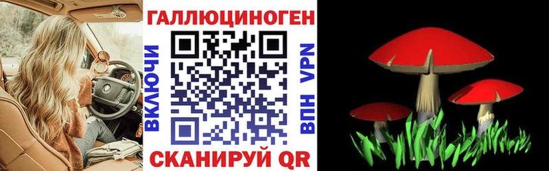 Галлюциногенные грибы мицелий  купить закладку  Спасск-Дальний 